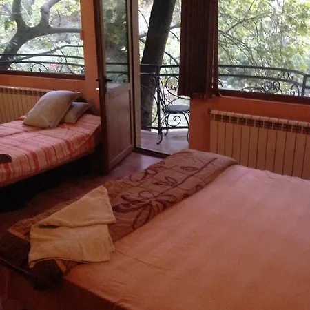 Hotel- Restaurant Struma ホテル